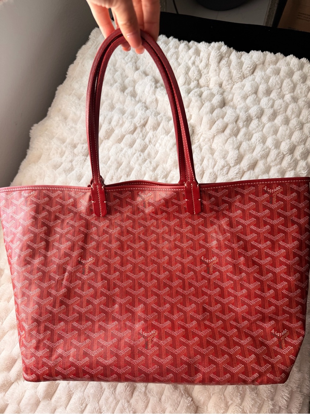 Goyard St Louis PM in Red
